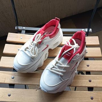 Vi 23cm fB[X Xj[J[ zCg V[Y C [Jbg