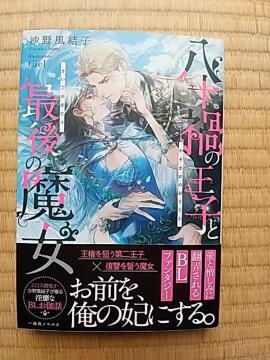 \Ђ̉qƍŌ̖@@앗q/Ciel