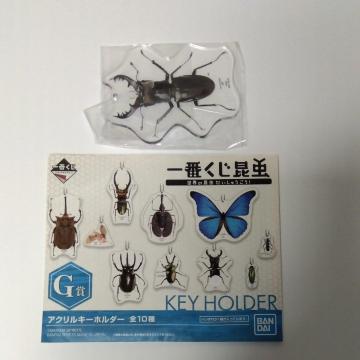 Ԃ@@E̍イ@G܁@ANL[z_[@~}NK^
