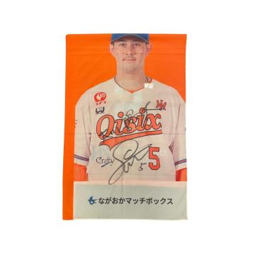 #5 ��� �z��I�� ���M�T�C������X�^�W�A���̂ڂ�