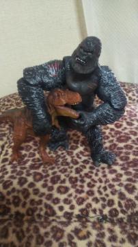 ���L���O�R���O�E�e�B���m�T�E���X��