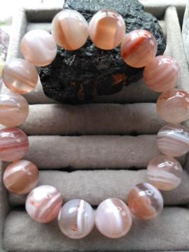 ���Á��J�t�F�I���J���[�̎ȃ��m�E12�~���u���X���b�g