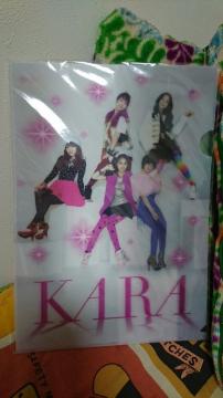 LOTTEè@KARA@3Dر̧