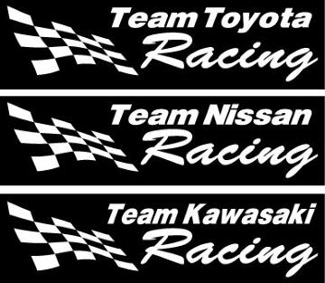 チーム Toyota Racing 13センチ 2枚組