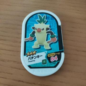 �|�P�������U�X�^�u�o�`���L�[�v