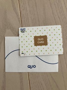 ʕ NIJ[h QUOJ[h NIJ 500~ ꖇ