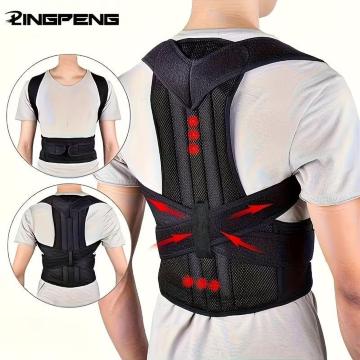 ��������990�~�������y�� �}�O�l�b�g���p���T�|�[�g - ��l����җp �����\�Ȕw���T�|�[�g�u���[�X PET�f�ށA�����ݎp�����P