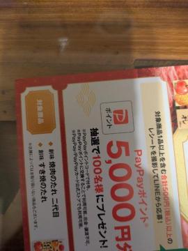 PayPay|Cg5000~郌V[g1