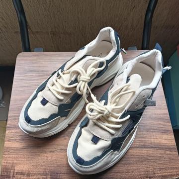 Vi 25cm fB[X Xj[J[ x[W V[Y C  JWA