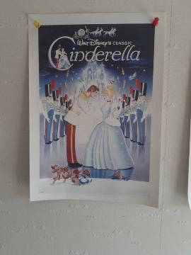 �V���f����