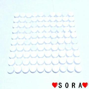手芸 工作 ハンドメイド♪ペットボトル キャップ フタ無地 ホワイト 100個セット