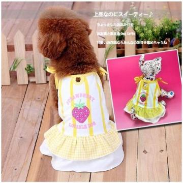 lC!!s[X5 (2L) CG[Vi `8kg