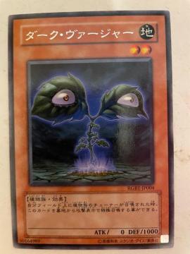 遊戯王【地・ダークヴァージャー】