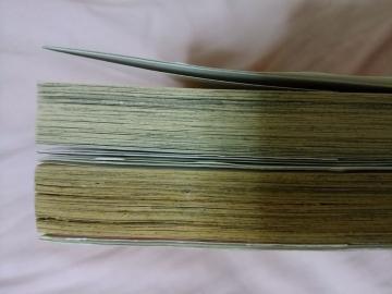 BL�R�~�b�N�@�W�F�C���o�[�h1��2���@���Q��