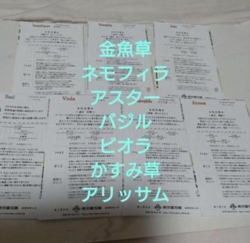バジルと花の種7種類セット