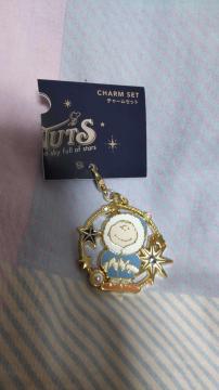 ���j�o USJ PEANUTS �X�k�[�s�[ �`���[���[�u���E�� �`���[�� �����`�[�t