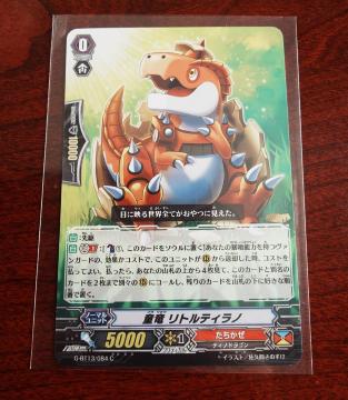 J[ht@CgII@K[h  geBm m[}G-BT13/084 C 980