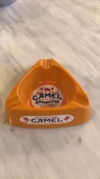 LDMCAMELgp