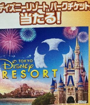 �Z���^�C�A�b�v���f�B�Y�j�[���]�[�g�M�t�g�J�[�h5000�~/50���l1��