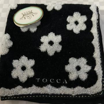 TOCCA nJ`
