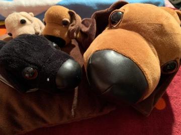 The dog ���̂ʂ�����݃Z�b�g�ƃN�[�����  ��������