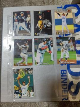 ���ް '05 '06 �����ݸ �呺 �V�_ ��� �{�n ���� �ē�