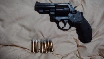 �^�i�J ���f���K��  M19  2�5�C���`��{�����o�[�O���b�v  ���Ζ����s�J�s�J�J�[�g