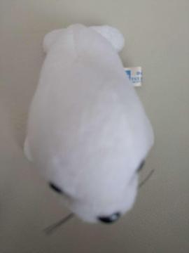 �ӂ�ӂ킩�킢�� �����A�U���V �ʂ������ �}�X�R�b�g �L�[�z���_�[�ɂ�