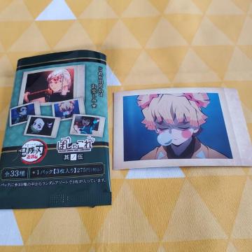 Vi*Sł̐n*ςႱ*̌*17*ȑP*Pq*g[fBO