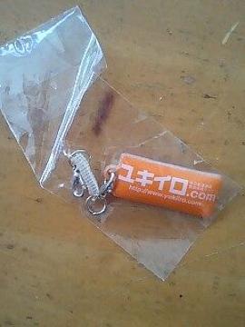 ���L�C�� �g�уN���[�i�[