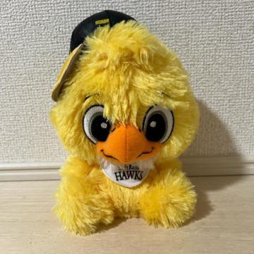 �����\�t�g�o���N�z�[�N�X �z�b�N�z�[�N �ʂ������ �y�T�C�Y:��20cm�z