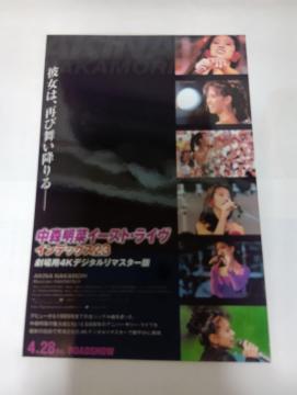 ���X���؃C�[�X�g���C�u�C���f�b�N�X�u���}�C�h�ʐ^