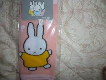 ~btB[̂т̂у\bNX 20cm`24cm