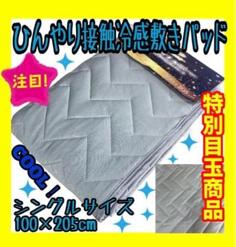 ���ʖڋʏ��i���ڐG�⊴�Ђ���~�p�b�h���V���O���T�C�Y��100�~205cm