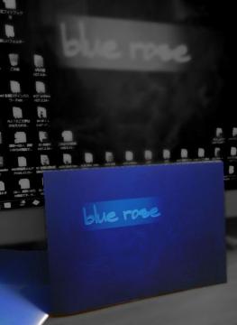 SۃtHgblue rosȇ؂ȕgłB