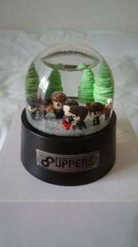 փWjUPPERSXm[h[