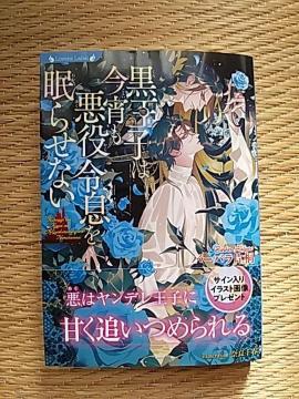 PPV@@q͍ߑ𖰂点Ȃ@@o[oЉ/ޗǐt