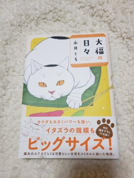 啟̓X@i䂭