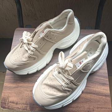 Vi 25cm fB[X Xj[J[ x[W V[Y C 
