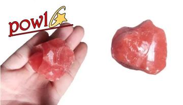 Vp[Xg[M߂VRbhXg[ƂEł̓퐶ɕKvȃT|[gJ^͓O̐̐