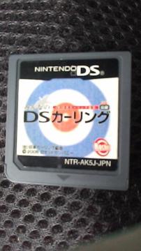NintendoDS^݂ȂDSJ[O \tĝ