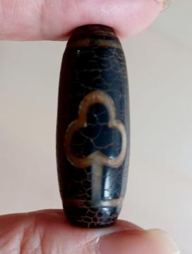 �`�x�b�g �΋��{ ���V��