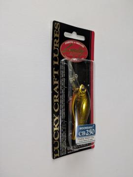 �V�i�@�@���b�L�[�N���t�g�@�@�@CB?250�@�@�@�@�@�@Black��Gold �@�@�@