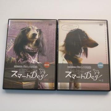 DVD 2 ǎ̂ {+p 