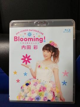 u[C c/AYA UCHIDA 2nd SOLO LIVE Blooming! 炫ւ݂