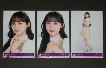 �T�؍�46�@�`�����X�͕����@���ʐ^�R���Z�b�g�@����