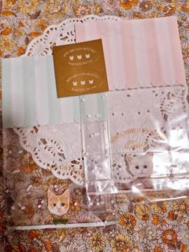 �����������L���K�[�b�g�o�b�N2��+�V�[����