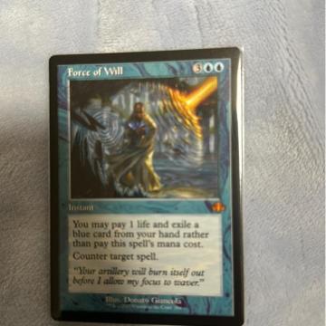 MTG �ӎu�̗́@���g