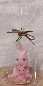 �e�q�������̓V�R�A���}�L�����h���b�y�b�g�����S�ق̂��ȍ��� �s���N�̗D�����C���e���A �o�Y�j�� �n���h���C�h��_���E�M�t�g�ɂ�