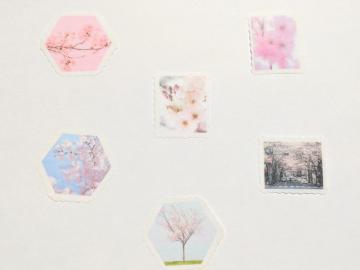 �؎蕗/���V�[��/6���/�}�X�e�f��/���o�y�C